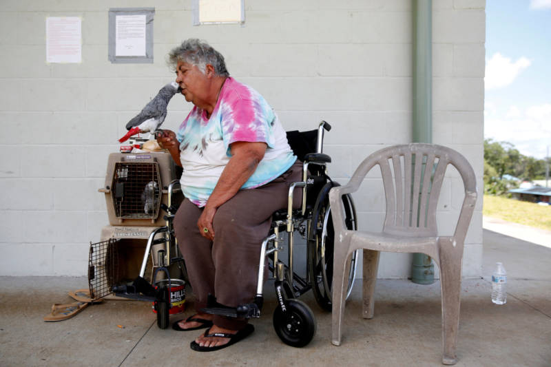 Linda Dee Souza, 72, of Kalapana-Seaview, kisses one of her parrots Tuesday at a Red Cross evacuation center in Pahoa.