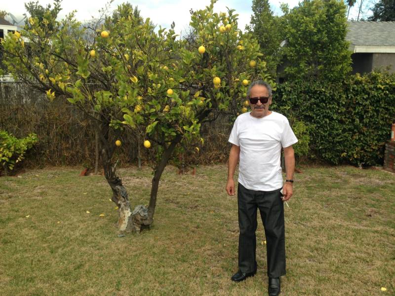 Munir Sirhan, younger brother of convicted Kennedy assassin Sirhan Sirhan, at the family home next to his brother's lemon tree.