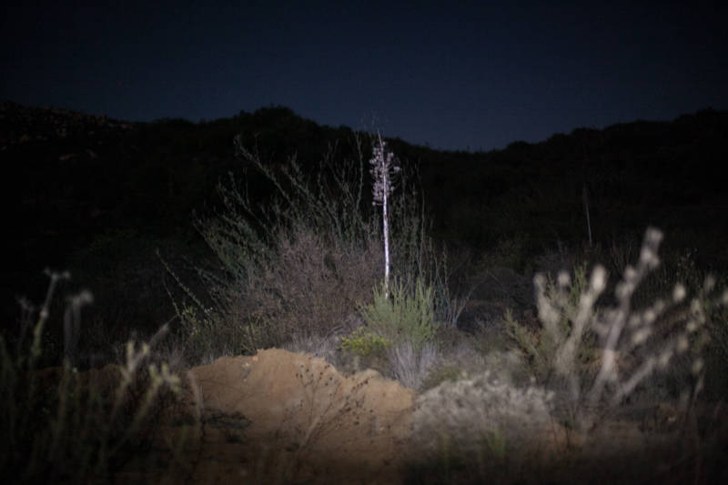 In the hills of Dulzura, California 12 miles from the Tecate Port of Entry there are many places one can hide. At night the only light that can be found comes from the moon and sometimes from headlights.
