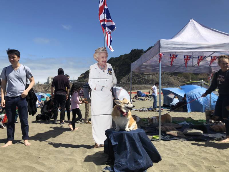 Agnes Wong has been coming to Corgi Con for at least four years and brings a setup that includes a cardboard cutout of Queen Elizabeth II, a fellow corgi owner. "I think she'd be thrilled," Wong said when asked what the Queen would think of this event. 