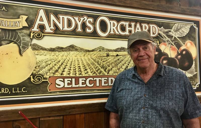 Andy Mariani is 72 years old, but he has no plans to retire from fruit farming. "This is my retirement. It's something I like to do. I've got some passion for it," he says. 
