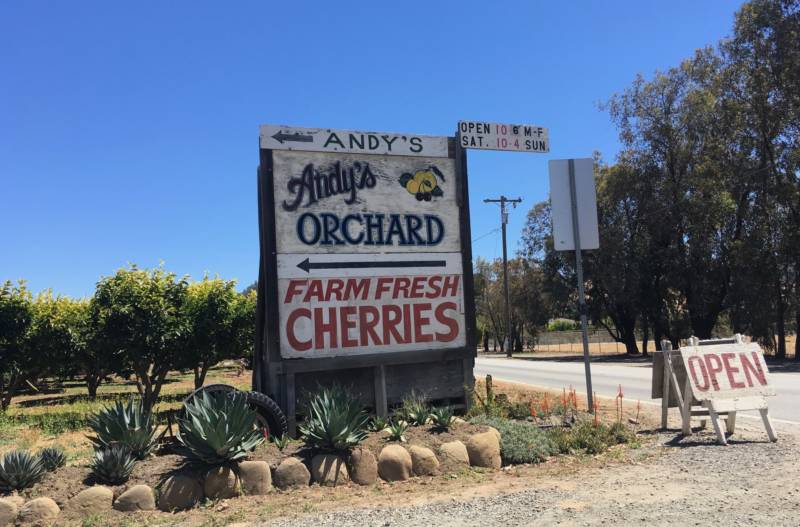 "Our store does fairly well for being out in middle of nowhere," says Andy Mariani of Andy's Orchard in Morgan Hill. People come from all over the Bay Area (and the US) to attend orchard tastings and stock up on heirloom fruit, especially in the summer months.