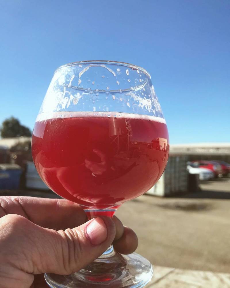Sour beer has an intentionally acidic, tart or sour taste. Common sour beer styles include: lambics, gueuze and Flanders red ale. Barrel Project Hibiscus Chamomile from Cali Craft Brewing Company in Walnut Creek.