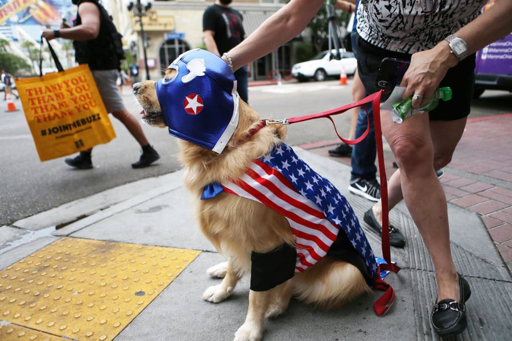 A dog is dressed as Captain America outside outside Comic-Con on July 20, 2018 at the San Diego Convention Center in San Diego.
