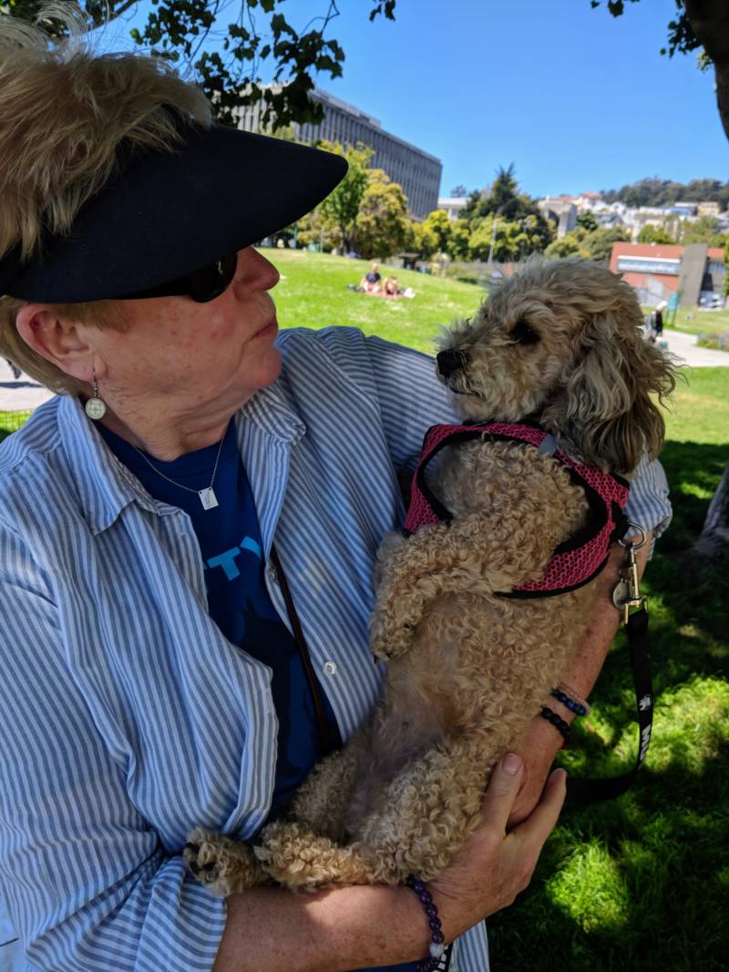 Linda McKay has been a volunteer with Muttville for seven years. She is pictured here with Cupcake, who was found as a stray in LA and treated for a benign tumor. Cupcake is now up for adoption through Muttville.