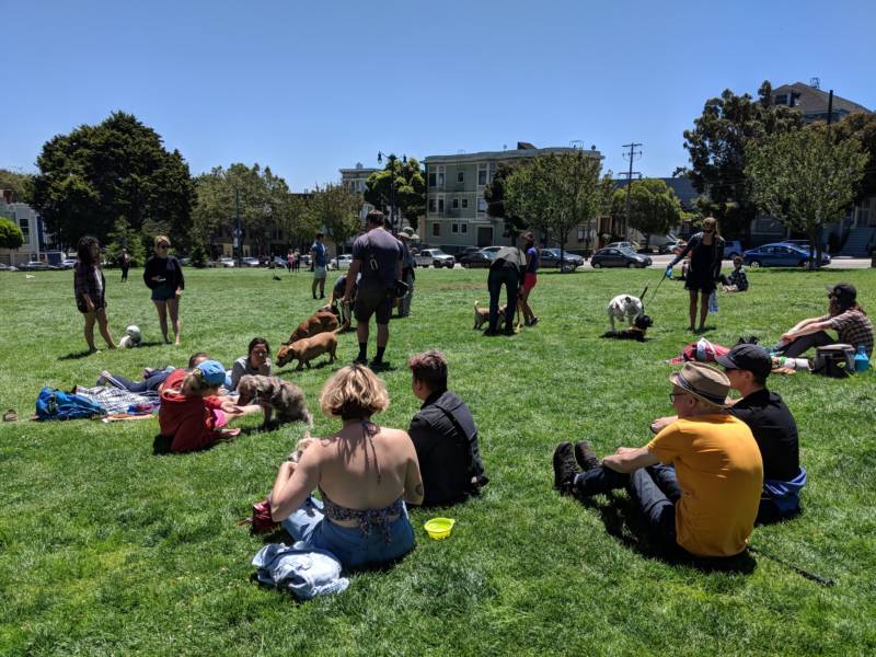 Attendees hung out with their pups at Duboce Park on Sunday, July 8th.
