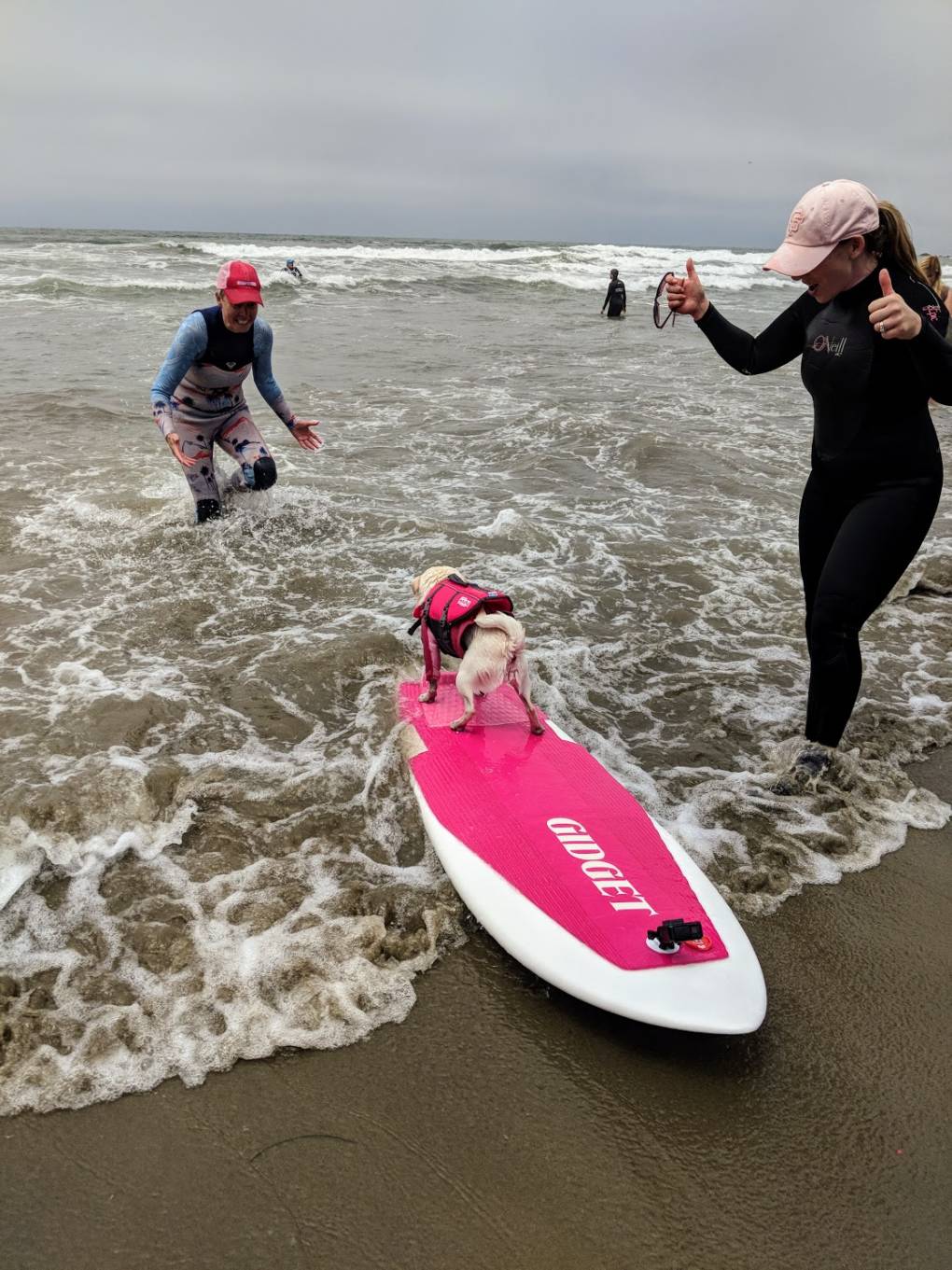 Gidget the pug gets the thumbs-up after a spectacular run in the final surf-off event. 