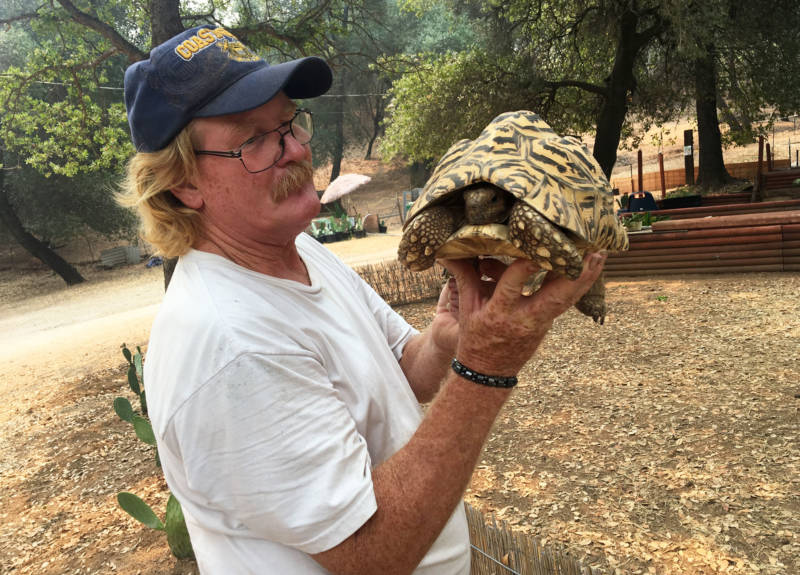 Ken Hoffman holds a tortoise named Majestic. Ken knows the back story of every tortoise on the sanctuary.