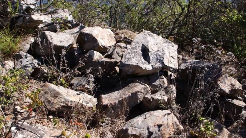 A portion of the stone walls found throughout the Berkeley Hills.