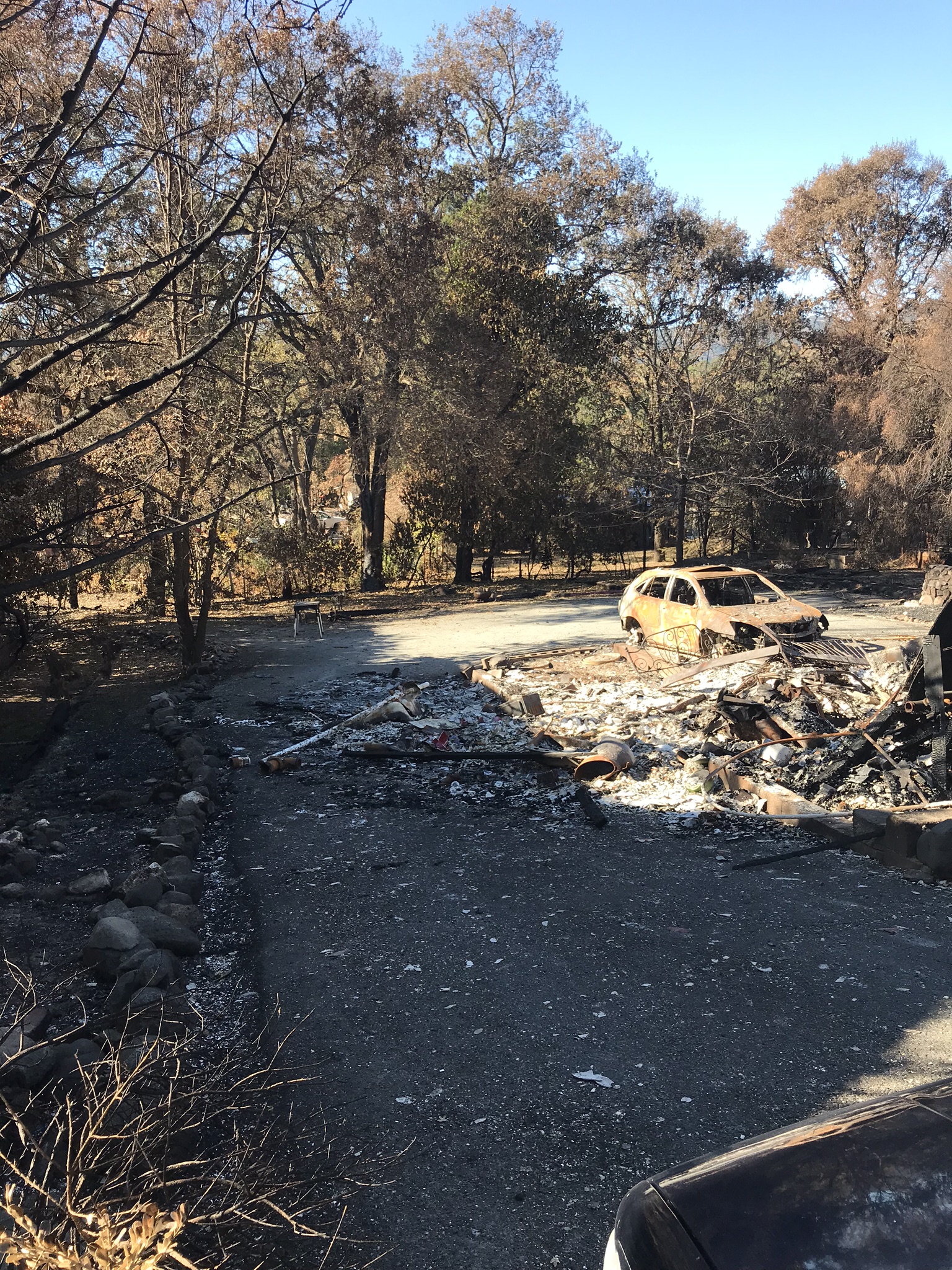 Helena Donzelli's property in Sonoma was destroyed in North Bay Fires.jpeg