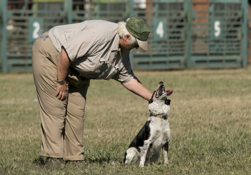 Karen Kollgaard pets Timbre at the end of her run. "This is one of the worst trials we've done in a long time," said Kollgaard, who has been doing sheepdog trials for nearly 40 years. "She's hard to manage because she's fast."