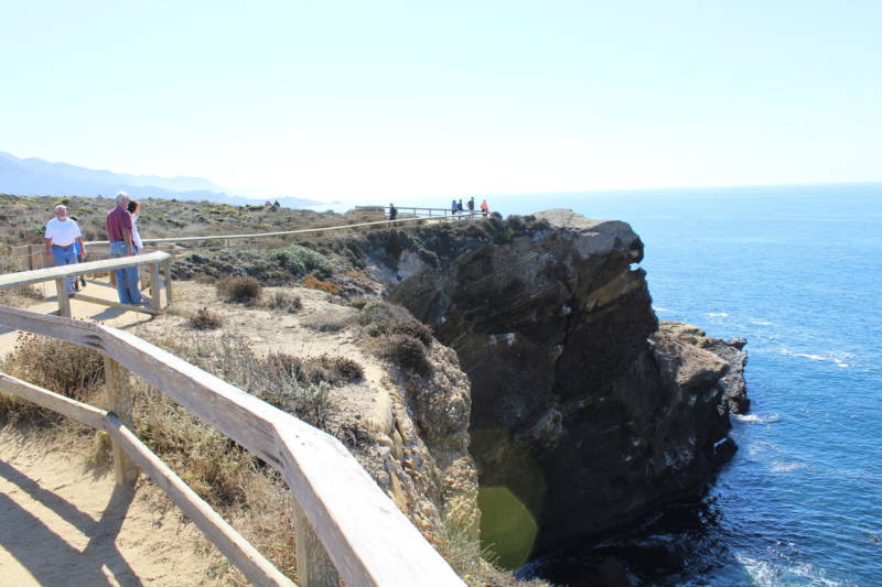 More than 600,000 people visit Point Lobos State Natural Reserve each year.