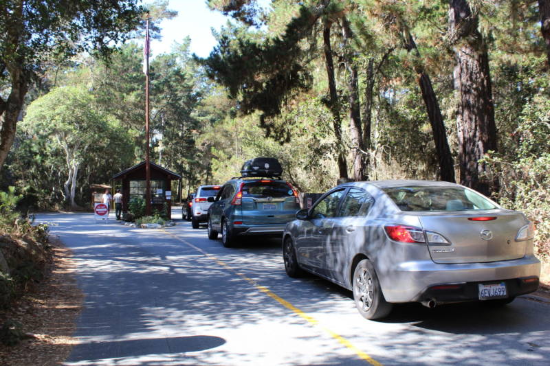 Cars line up to get into Point Lobos State Natural Reserve. Visitors compete for 150 parking spots forcing many to park dangerously along Highway 1.