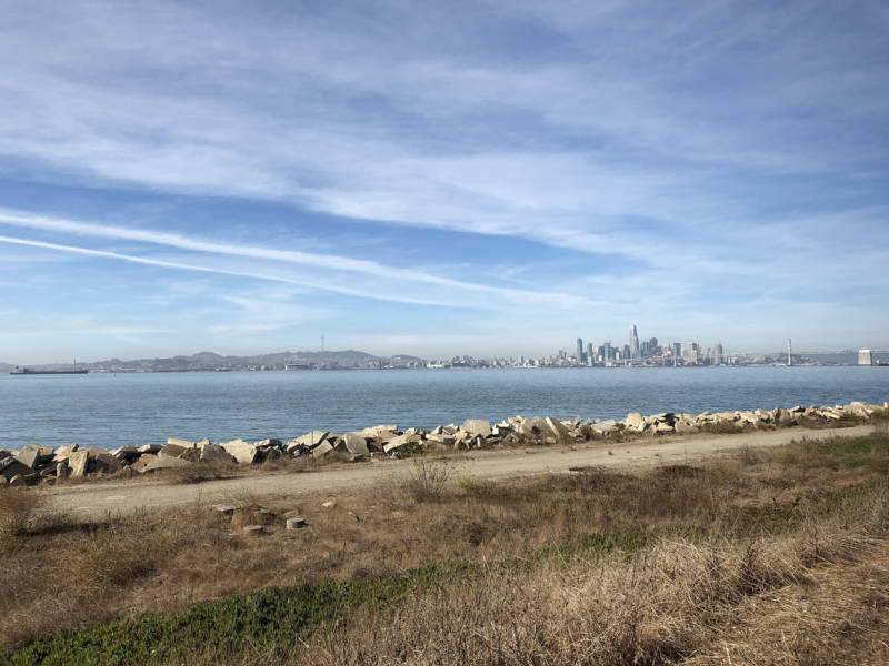 A view across the water of San Francisco ... from San Francisco on Alameda Island. It's trippy, right?