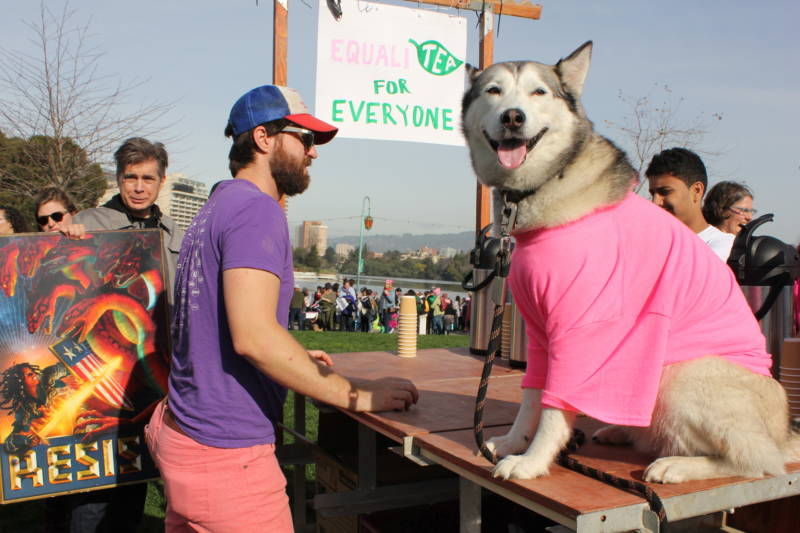 Eric Wities of Oakland and his husky Kolch give out tea at the Oakland's Women's March.