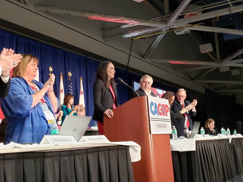 Political consultant Jessica Patterson has been elected as the new chair of the California Republican Party.