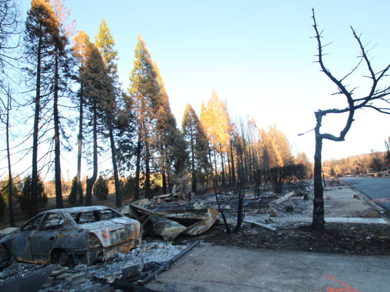 The Camp Fire of November 2018 destroyed roughly 90 percent of the homes in Paradise, Calif. The owners of the few homes that remain standing may face problems when it is time to renew their home insurance.
