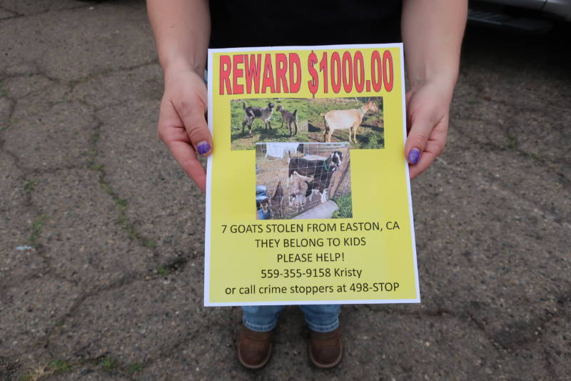 The Picquettes are offering a reward for the return of their goats.
