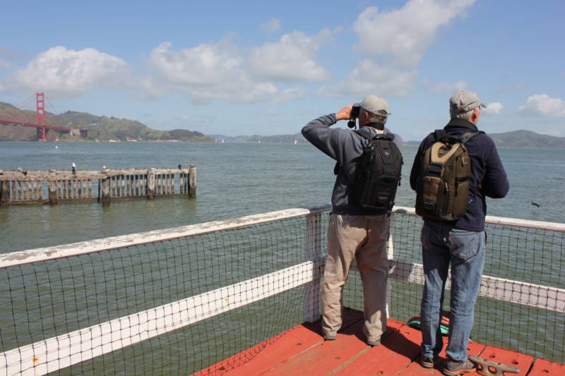 Marine biologists Izzy Szczepaniak (left) and Bill Keener (right) watch for whales in the Bay Area.