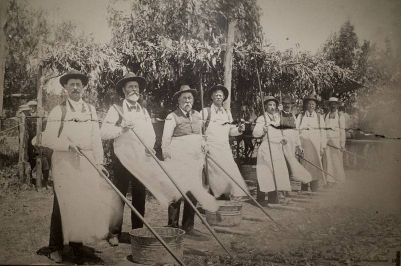 Volunteers barbecue at Santa Maria’s Fourth of July celebration in 1904. Photo courtesy Santa Maria Historical Society