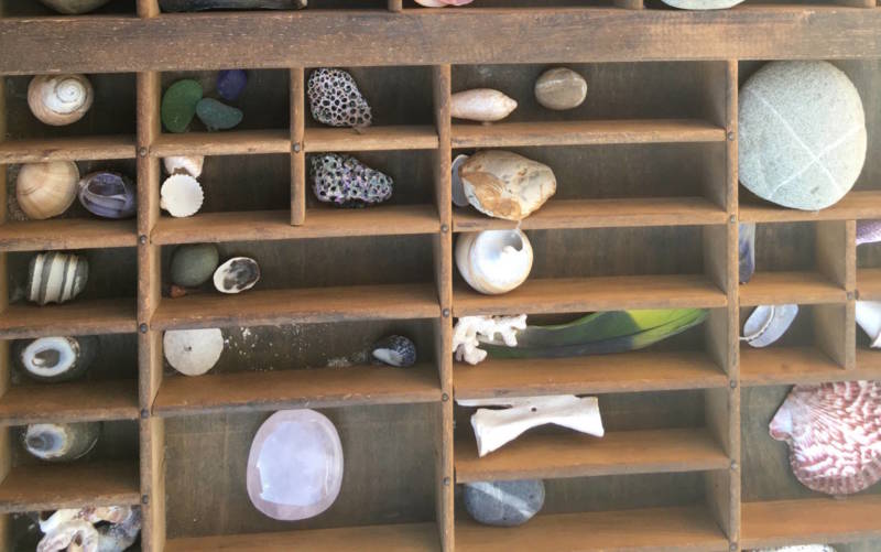 A collection of seashells was another Waters artifact up for sale. 'I'm trying to sell all the things I've gathered over 47 years. And offer them to people who might really like to own them and treasure them,' Waters said.