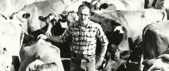 Shoveling dirt - Susan Giacomini Allan's dad, Joe, as a young dairyman in the 1950s