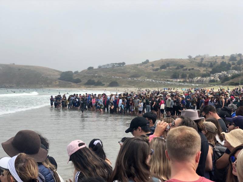Thousands gather in Pacifica to take part in the annual World Dog Surfing Championships.