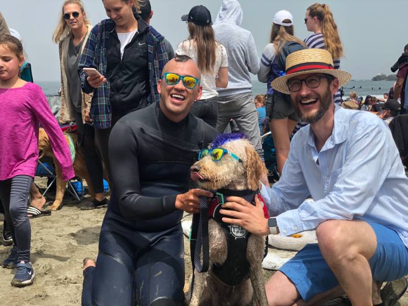 The World Dog Surfing championship has turned into quite an event for Pacifica, drawing nearly 4,000 spectators, vendors and even the mayor.