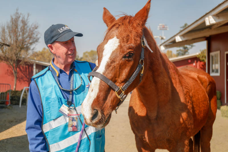 Dr. John Madigan founded and coordinates the UC Davis Veterinary Emergency Response Team. During evacuations due to the Kincade Fire, the team provided medical assistance to animals evacuated to Sonoma County Fairgrounds.