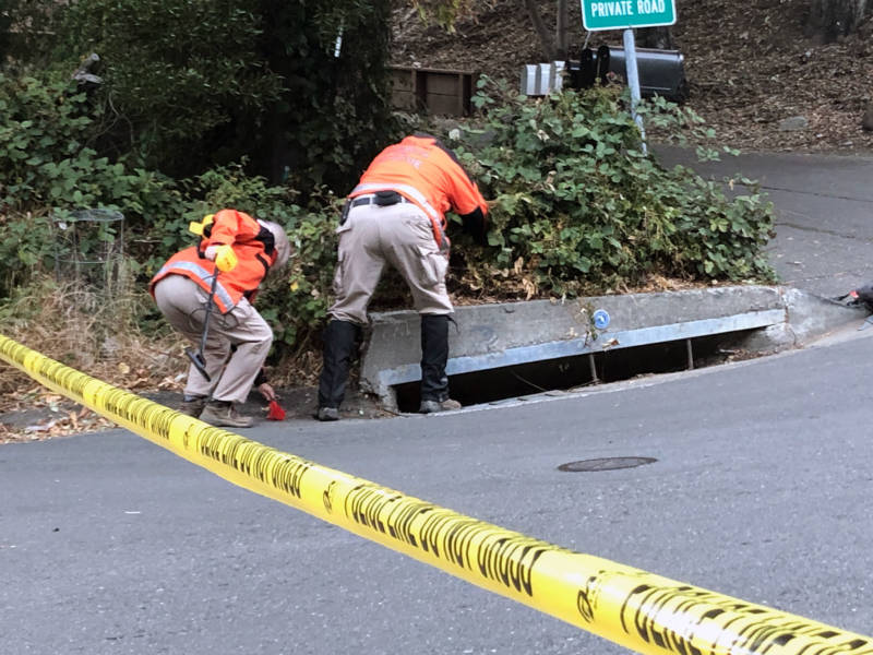Contra Costa County Sheriff's Office staff with metal detectors search bushes at bottom of Knickerbocker Lane in Orinda on Nov. 1, 2019.