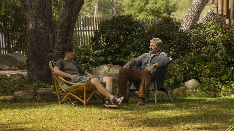 Timothée Chalamet (left) as Nic Sheff and Steve Carell as David Sheff, in a story about the ways addiction narratives don't tend to end neatly—or at all.