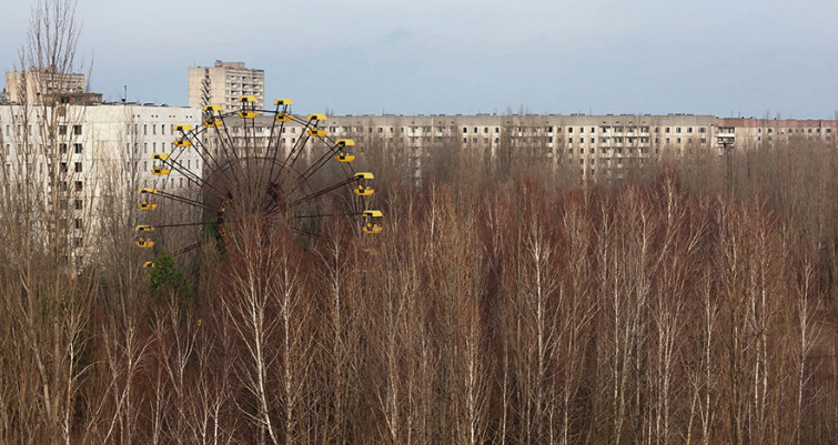 At a fairground within Ukraine's Chernobyl exclusion zone, a birch forest has emerged decades after a nuclear reactor accident forced the abandonment of the area.