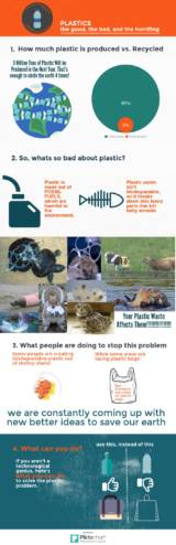 Student infographic about the plastic problem.