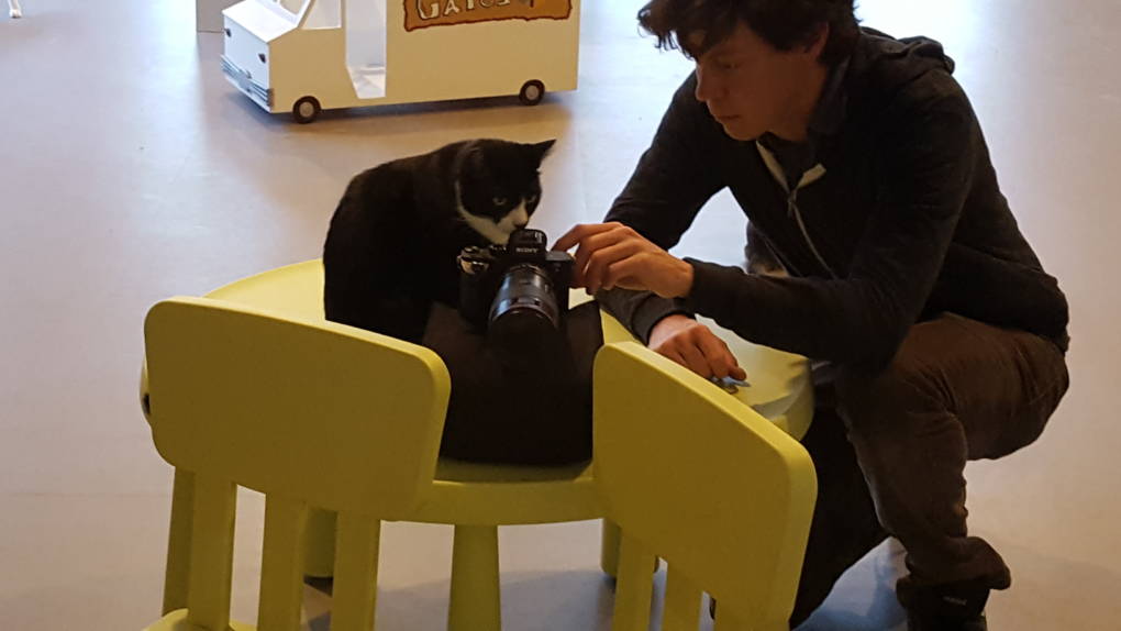 Josh Cassidy (right), Deep Look lead producer and cinematographer, confers with Oreo (left), during production at Cat Town Cafe in Oakland.