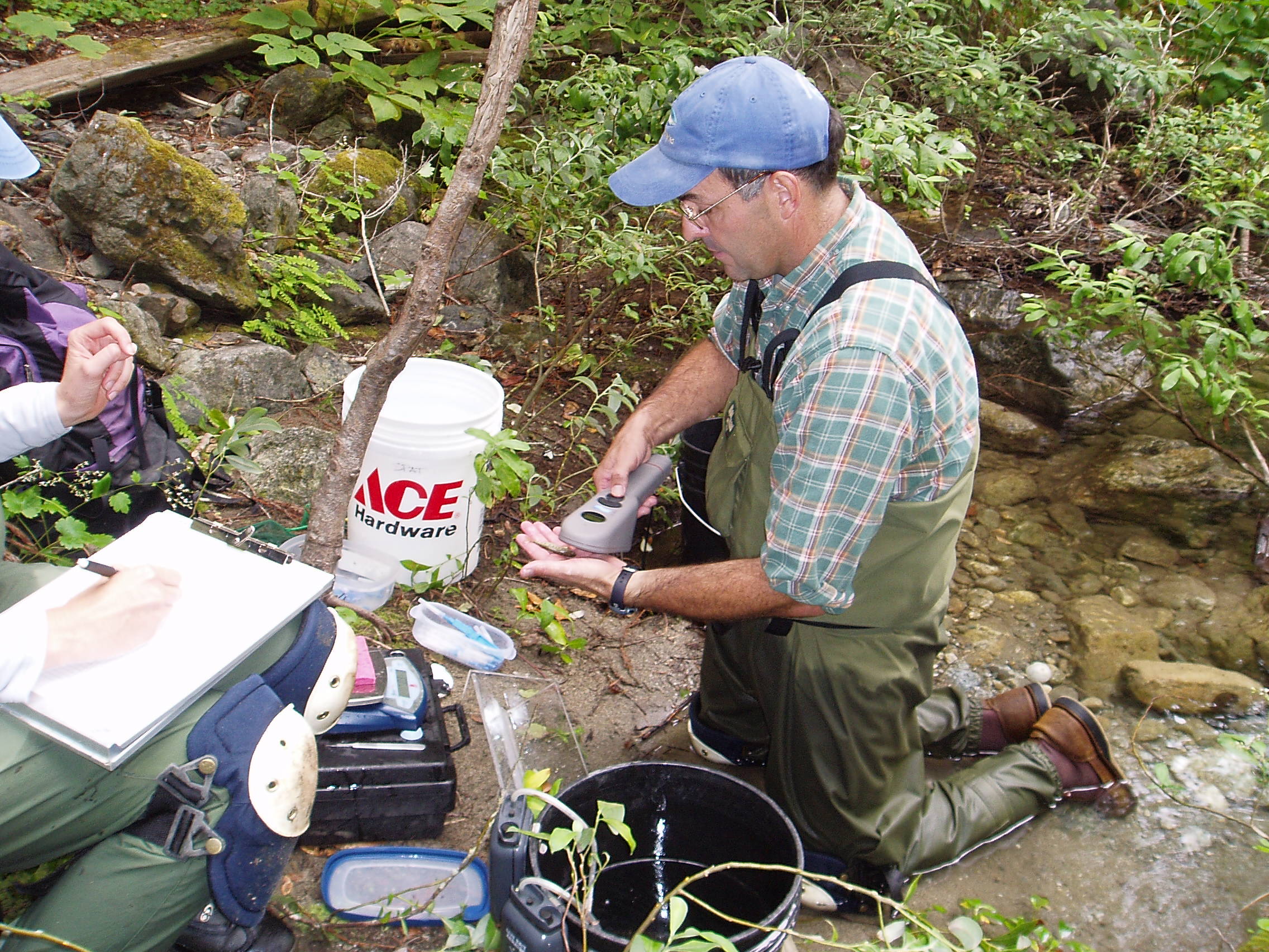 Fisheries biologist Tommy Williams scans a juvenile steelhead trout for a passive integrated transponder (PIT) tag. PIT tags uniquely identify the fish and in mark-and-recapture studies, they allow scientists to estimate fish survival rates and population size.