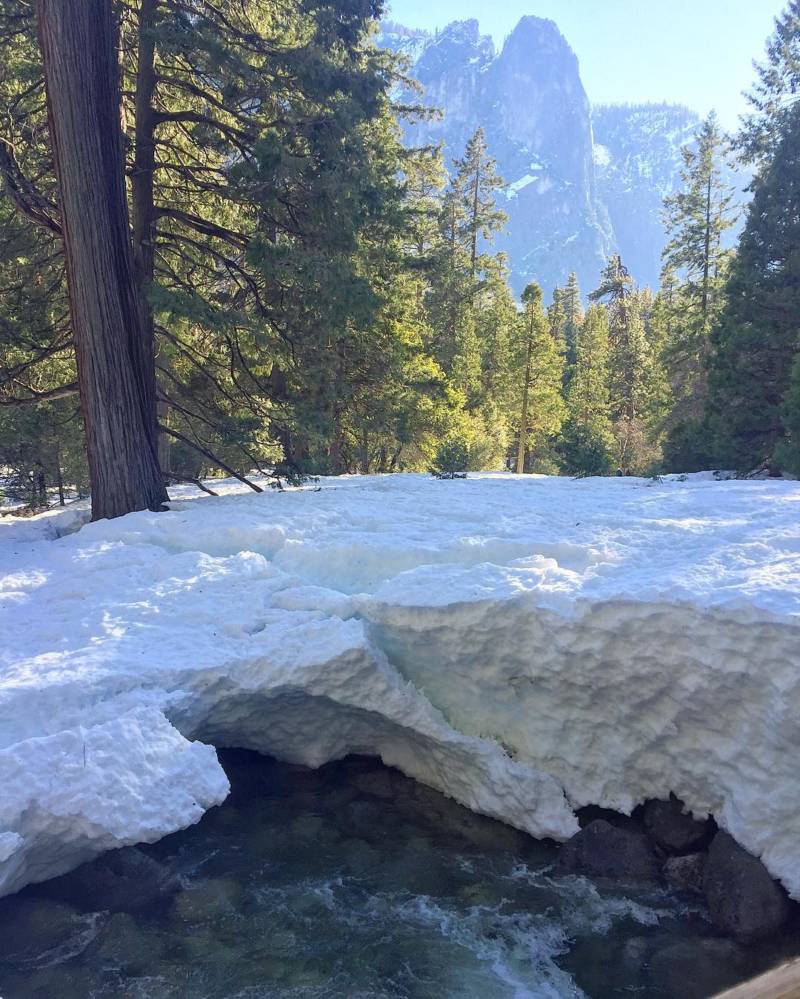 From @pandalabra, via Instagram. "Here's my #flashbackfriday from New Year's Day - check out the wild af #frazil ice at the bottom of lower #yosemitefalls ????❄️#findyourpark #nationalpark"