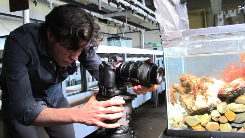 Josh Cassidy films a moss crab 