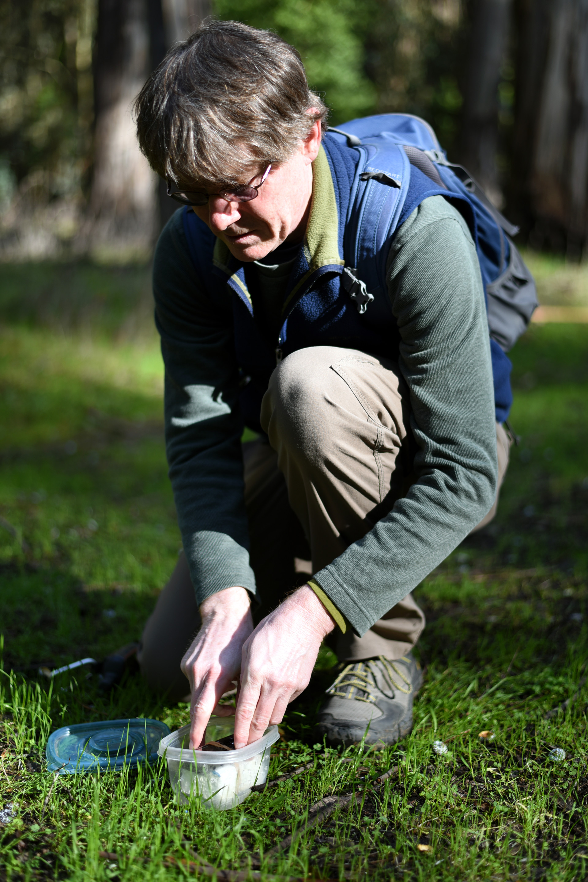 Brett Furnas placing a field recorder in Tilden Regional Park