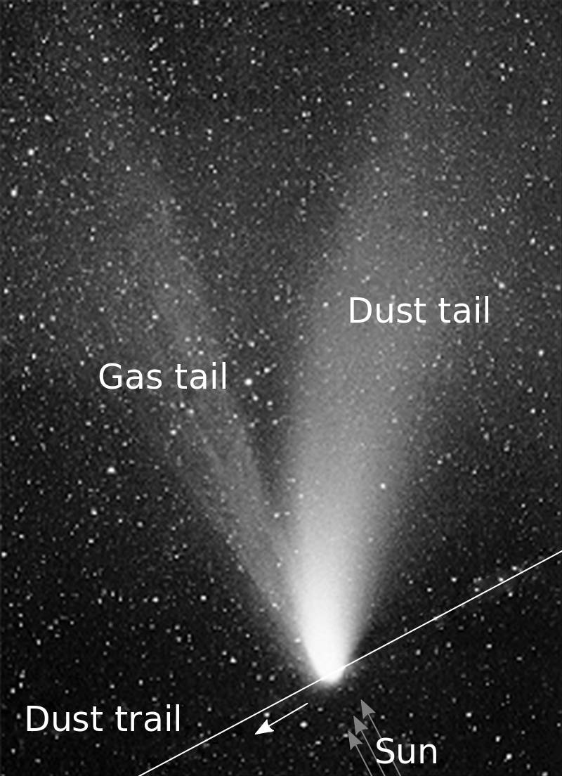 A comet often has more than one tail: a gas tail and a dust tail. Pressure from sunlight pushes both tails away from the sun, but lighter gases are blown more strongly than the heavier dust particles, and are separated. The largest and heaviest dust particles are affected least by sunlight pressure, and tend to remain within the path of the comet's motion--this is the stream of dust that produces a meteor shower. 