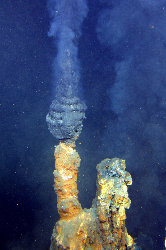 An active hydrothermal "chimney", the mineral structure that forms around a hydrothermal vent. 
