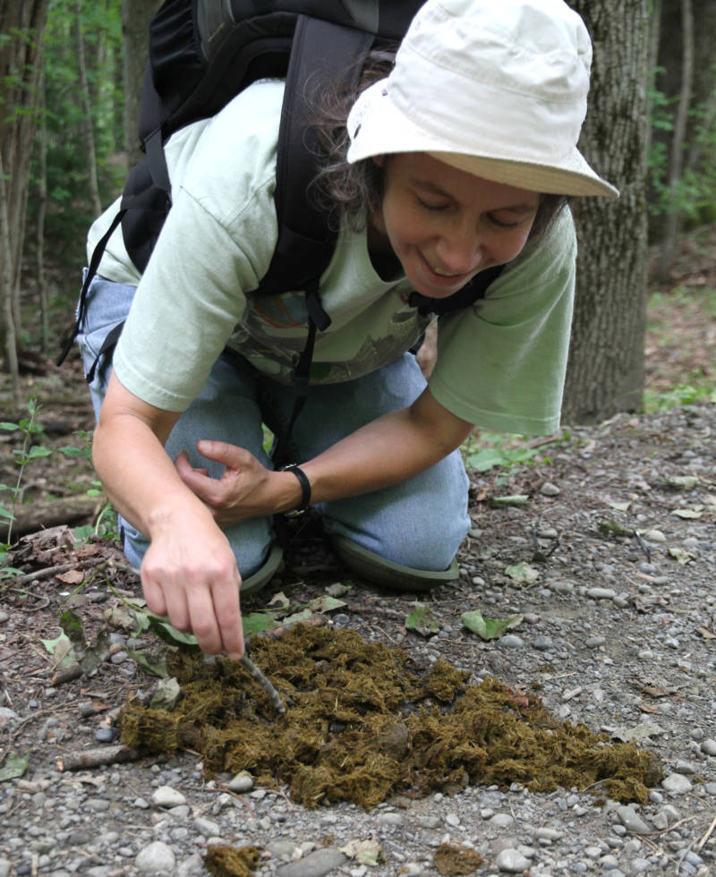 Joyce Gross collecting beetles.