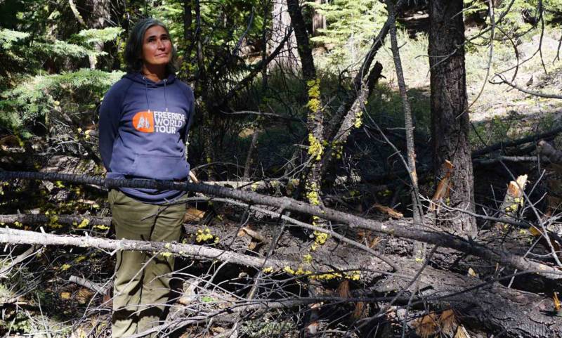 Patricia Maloney next to a dead sugar pine on Lake Tahoe.