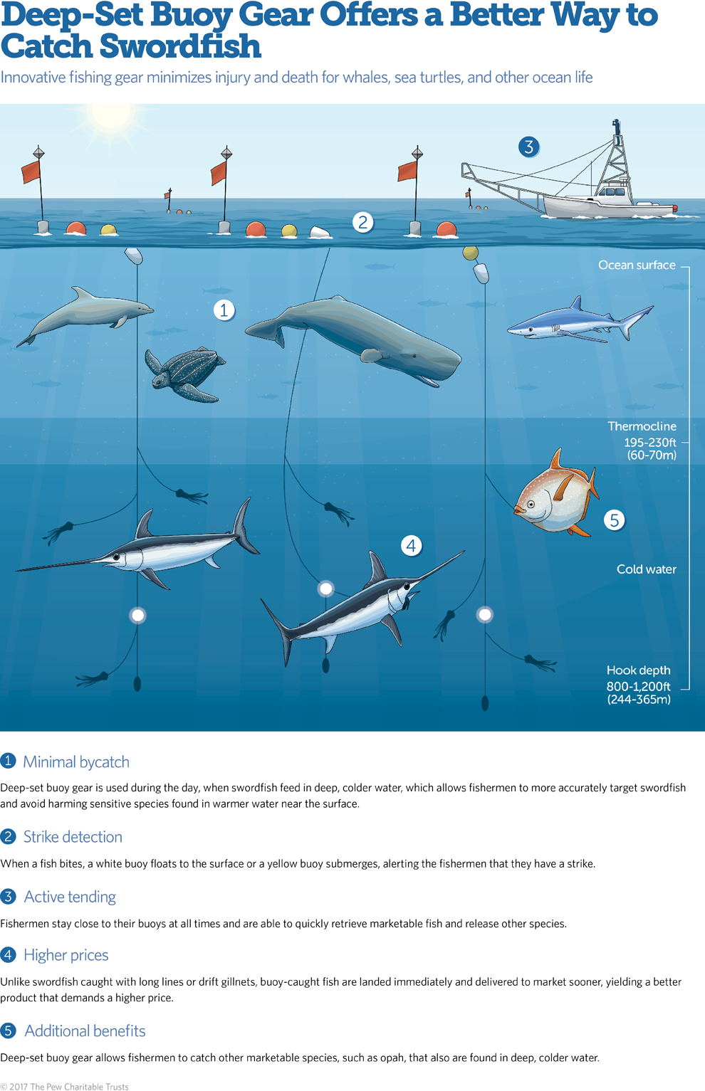 Newly Approved Fishing Gear Reduces Ocean Wildlife Entanglements