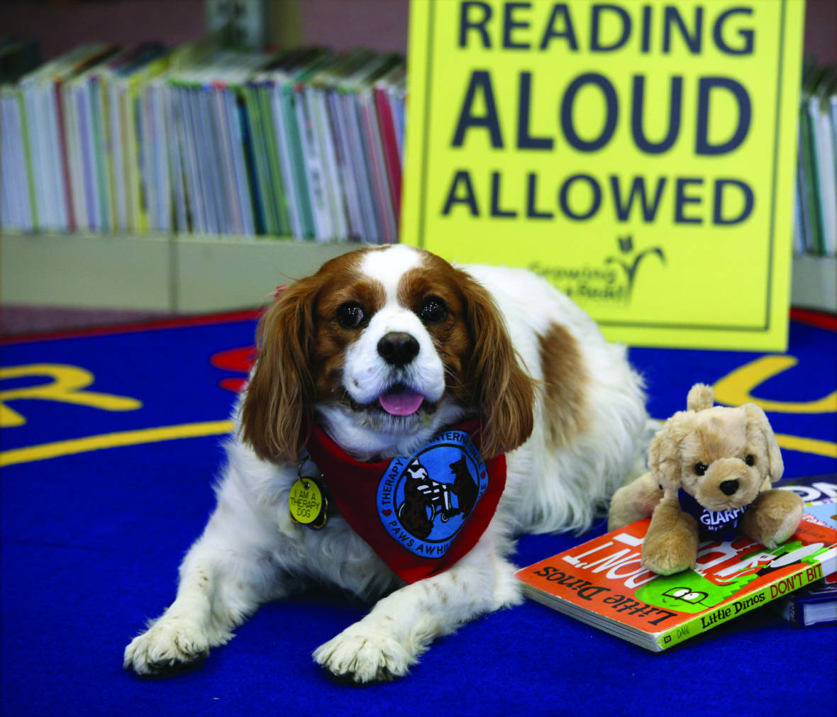 How Reading Aloud to Therapy Dogs Can Help Struggling Kids